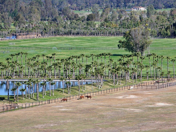 ¿En qué se gastan su dinero Jeff Bezos, Elon Musk y otros multimillonarios?