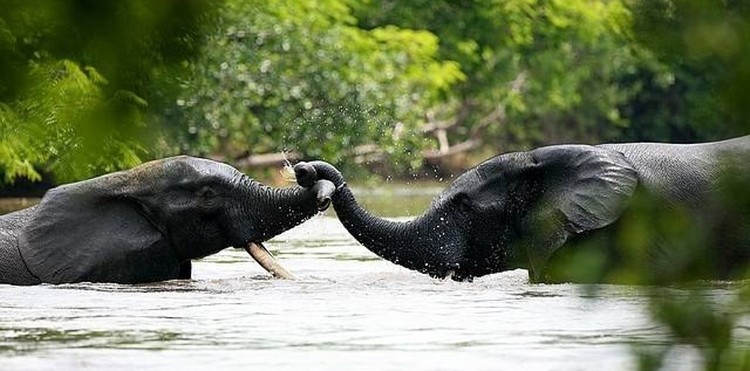 11 Lugares que você tem que visitar antes que desapareçam