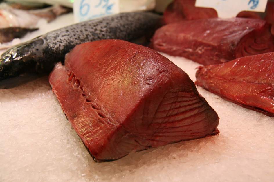 Тунец рыба фото какого цвета мясо