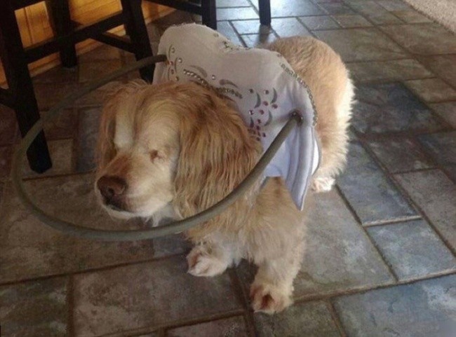 18 Fotos que vão mudar a sua visão de mundo