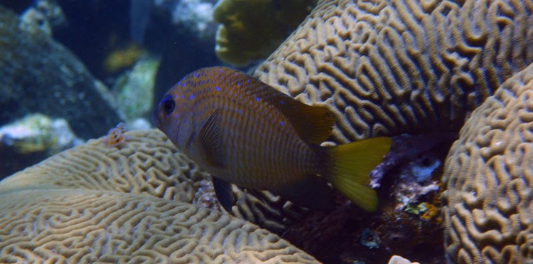 11 Lugares que você tem que visitar antes que desapareçam