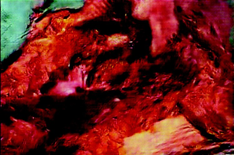 Cómo la inteligencia artificial está creando un nuevo mercado del arte