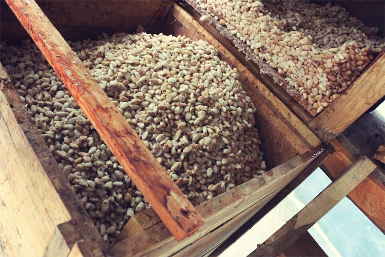 لوح شوكولا ب 260$