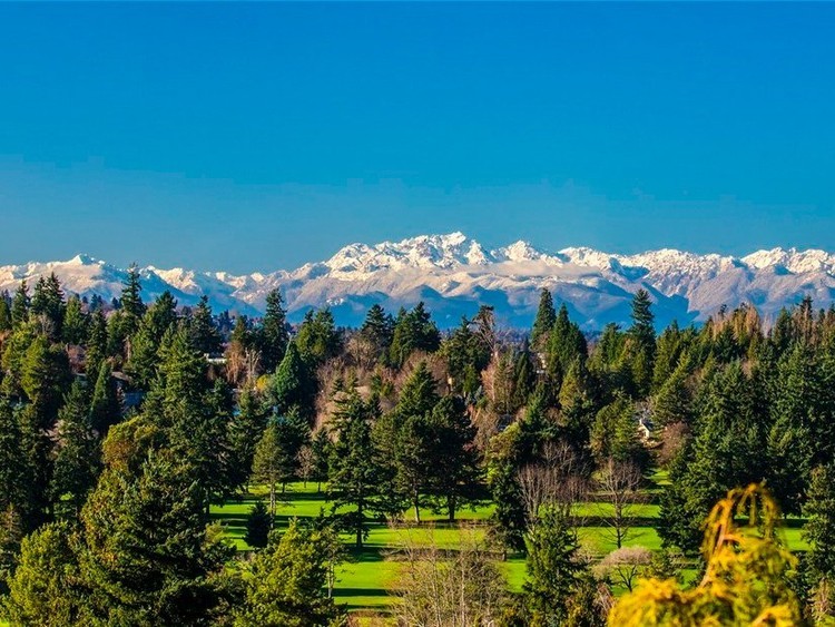 Quem quer comprar a casa do CEO da Microsoft?