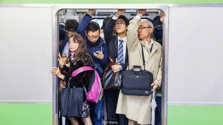 Ikigai: El significado de la vida en japonés