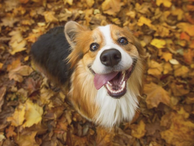 13 tácticas de las fuerzas especiales que te serán de gran utilidad en tu vida normal