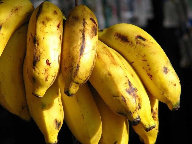 O impacto da alimentação na sua produtividade