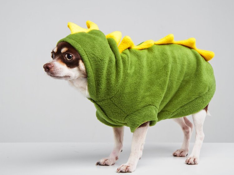 De Mickey Mouse a Daenerys: los 50 mejores disfraces para Halloween de este año