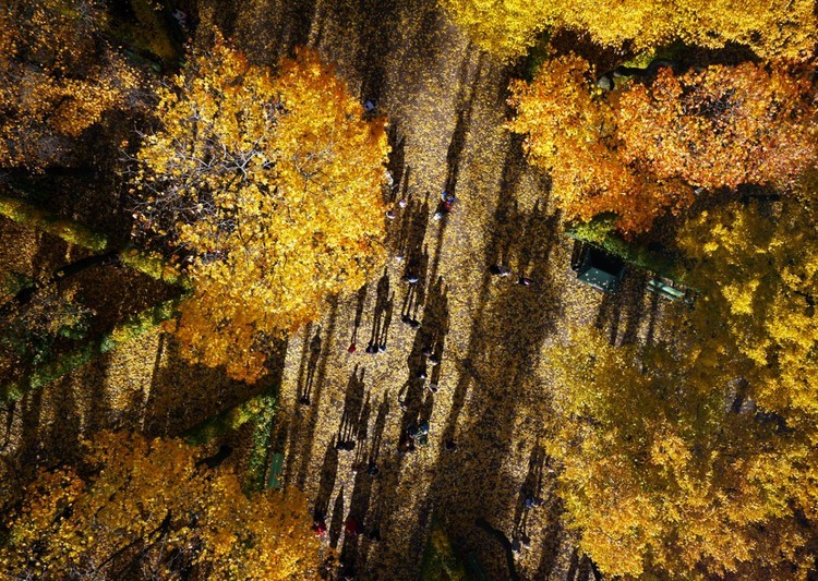 Os drones também servem para tirar belas fotos