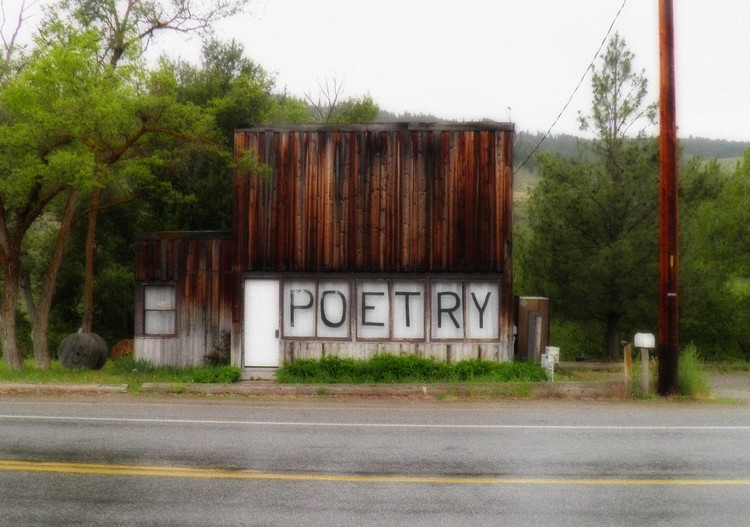 25 Fobias que atormentam a mente