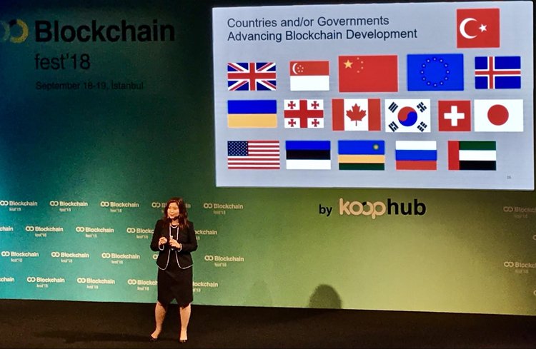Blockchain Fest, Istanbul - Even Overview