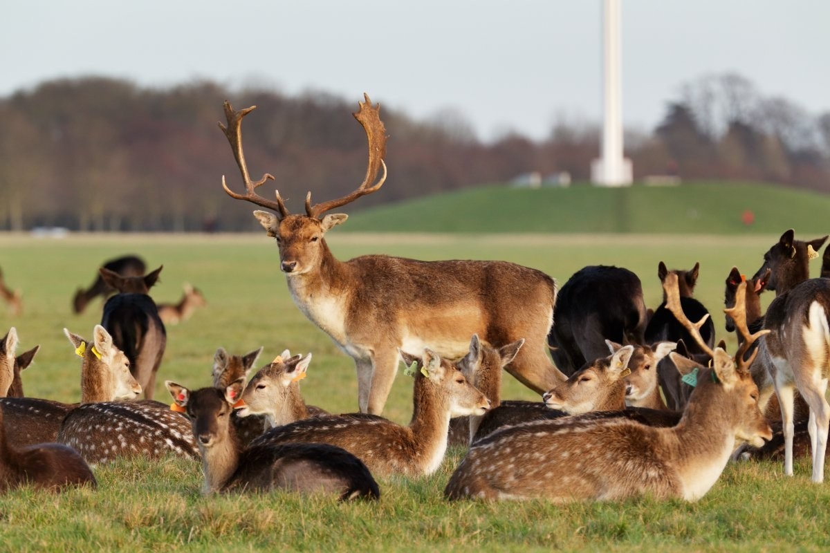 Die wunderschönsten City Parks rund um die Welt