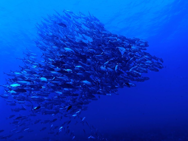 23 increíbles destinos que probablemente no sabías que existían