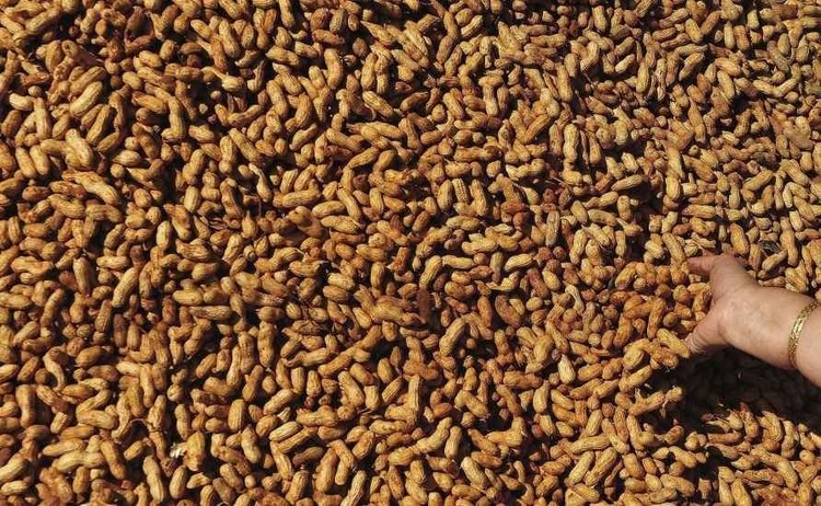 15 alimentos en peligro de extinción