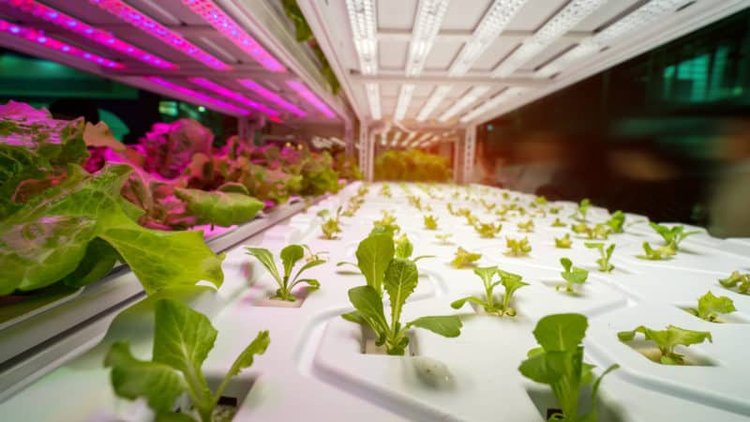 10 lugares en los que puedes pagar con tokens IOTA