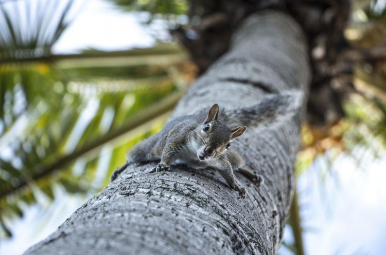 As 25 melhores fotos da National Geographic de 2015