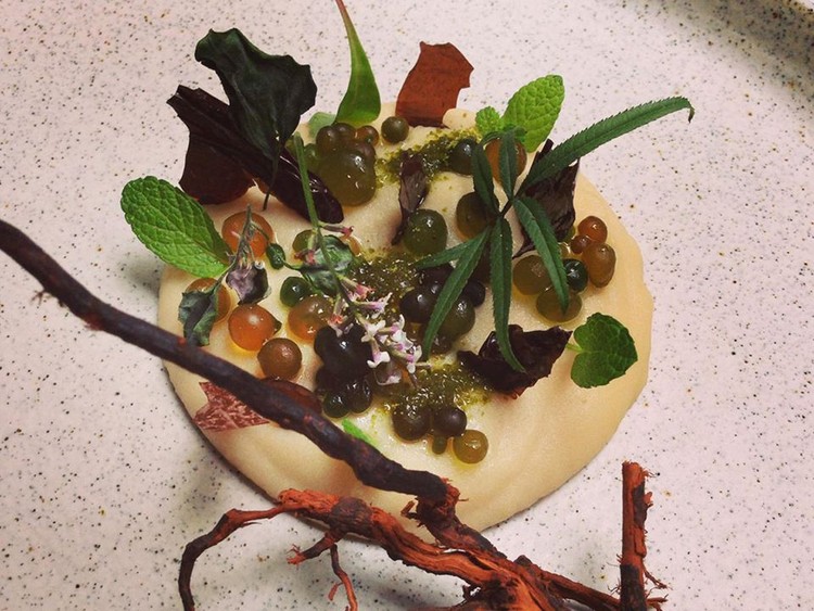 23 فكرة لقضاء الإجازة في سنة 2015