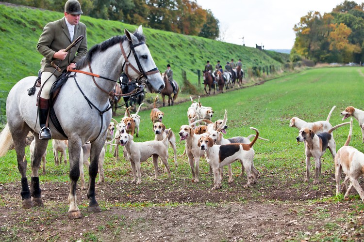 كشف المستور في سكوتلندا