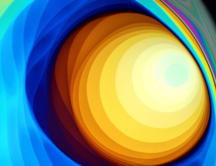 15 imágenes de microscopio que te harán ver el mundo con otros ojos