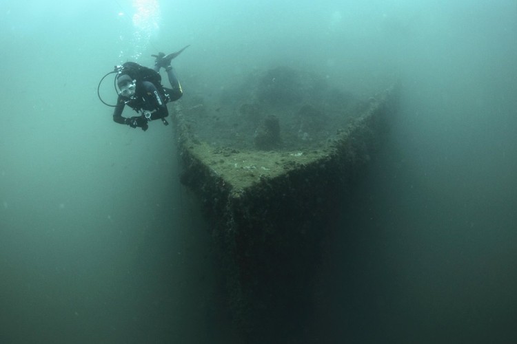 25 Fobias que atormentam a mente