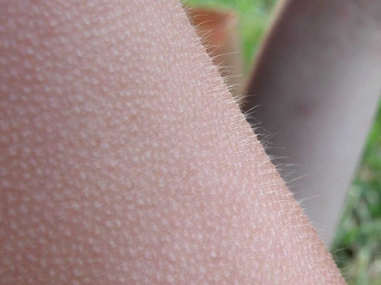 27 hechos asombrosos en los que tal vez no habías pensado