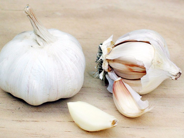 سلطة لموسوليني.. ما الطبق المفضل لدى مستبدي القرن الـ20