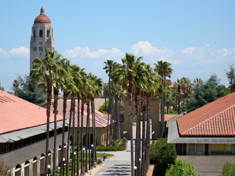 قصة لورين باول: كيف أصبحت زوجة ستيف جوبز مستثمرة ذات نفوذ