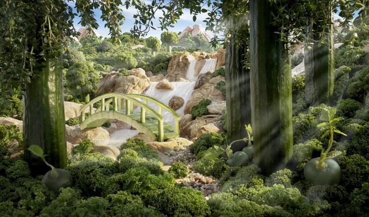 مناظر الطعام المدهشة