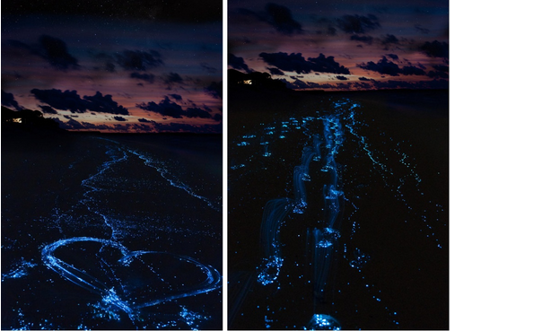 26 Lugares que parecem ser de um conto de fadas