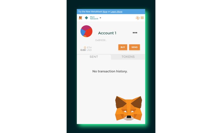 Las 16 mejores carteras para tokens ERC-20