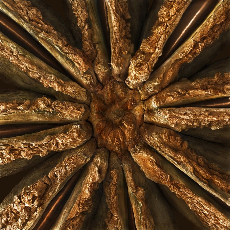 17 Alimentos que são espantosos ao microscópio