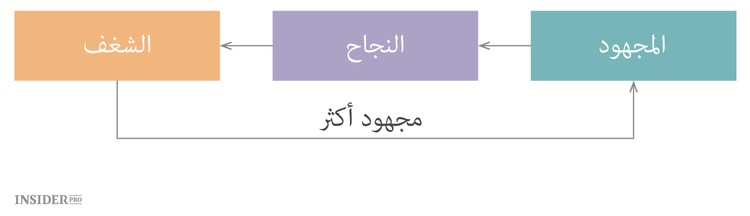 كيف تعثر على شغفك 