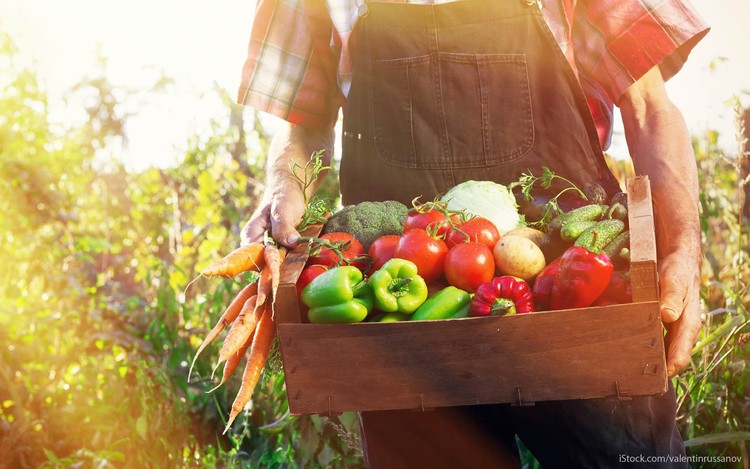 Onde investir: as 10 melhores ações do momento