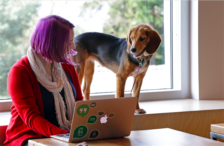 10 razones para comprar acciones de Google y no venderlas nunca