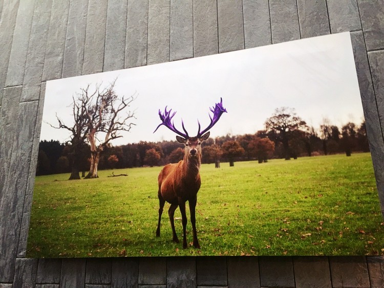ليلة في أحد أفضل الفنادق في العالم