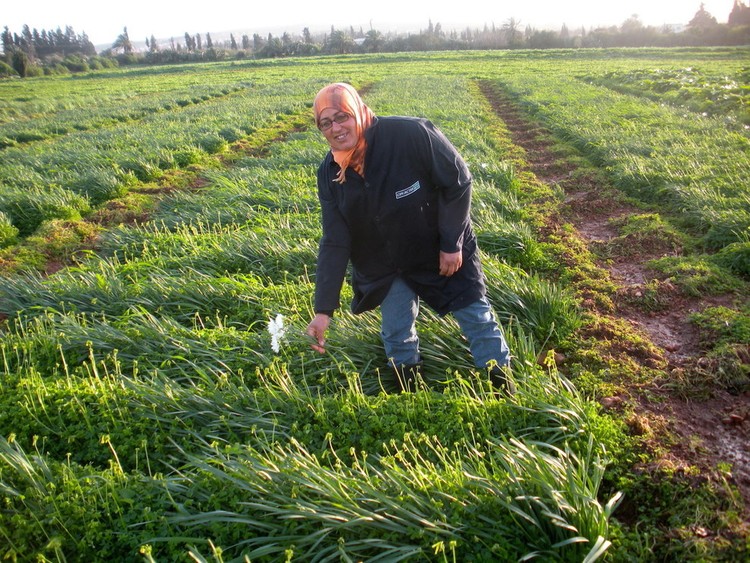 النسوة العربيات في الأعمال