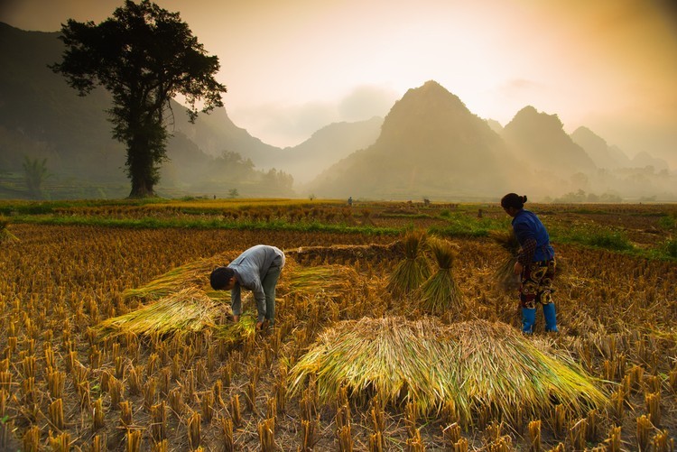 6 hechos sorprendentes sobre Alibaba