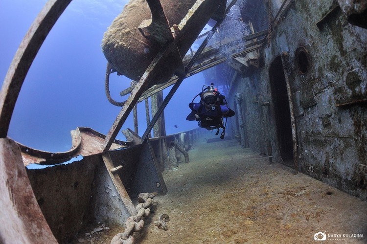 Segredos do fundo do mar