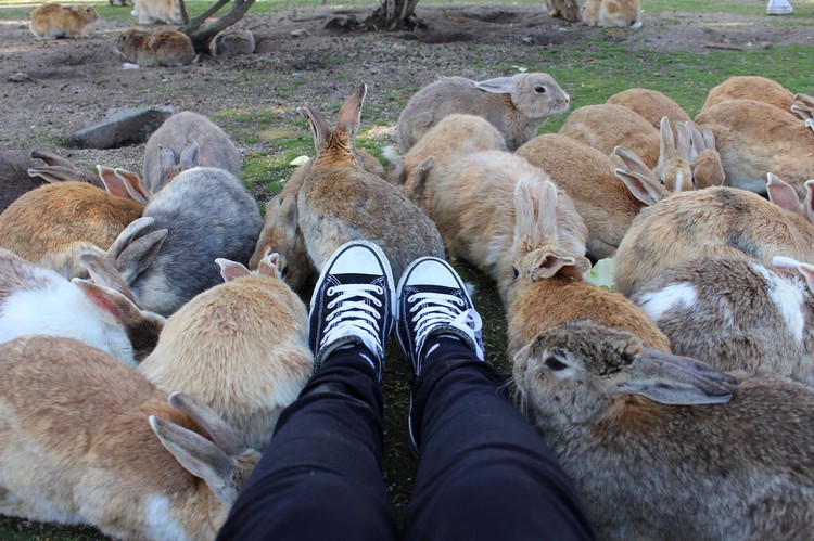 10 أماكن مدهشة في اليابان