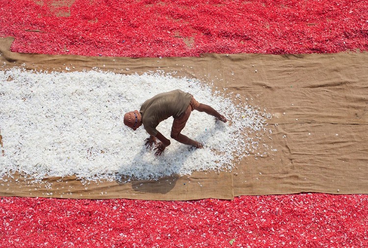 30 صورة من البلدان النامية