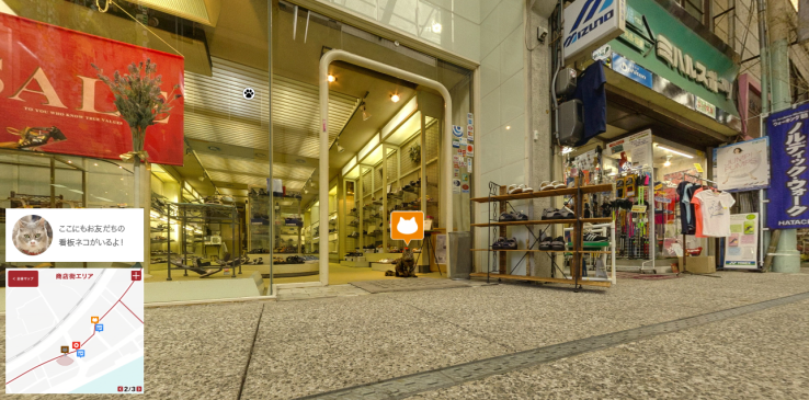 Veja o mundo na perspetiva de um gato