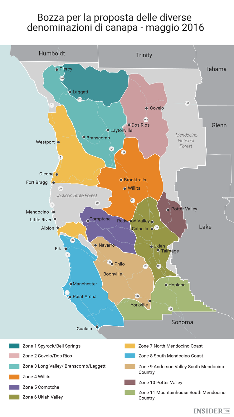 Come e perché la coltivazione della marijuana dovrebbe assomigliare al business del vino