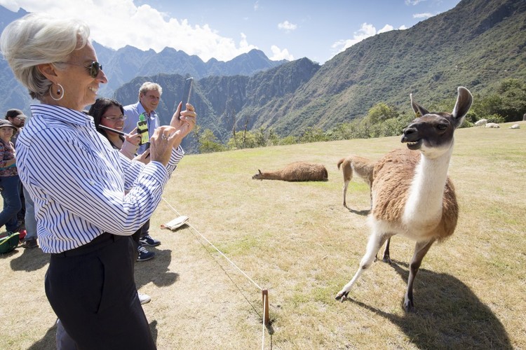 Le più belle foto di animali del 2015