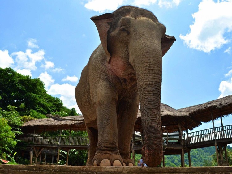 21 Fotos que o farão querer ir à Tailândia  