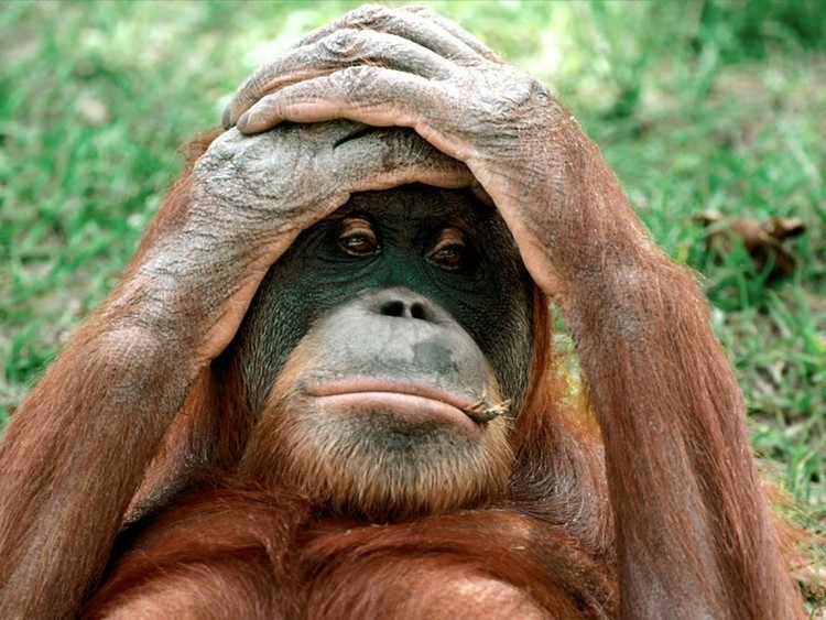 10 verdades que su crisis de la mediana edad no le cuenta