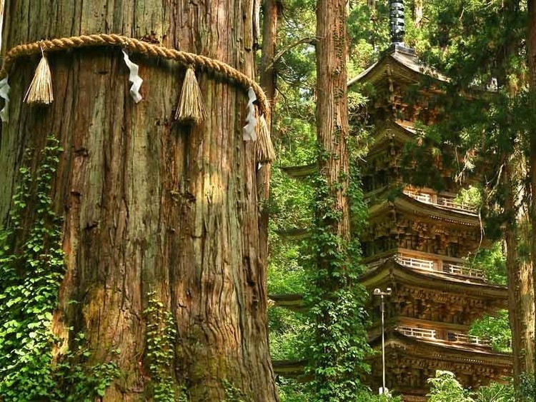La bolsa de regalo para los nominados a los Oscar