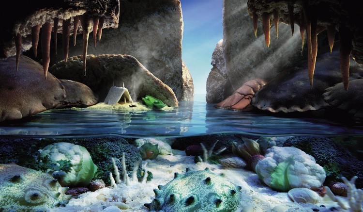  Increíbles imágenes de comida