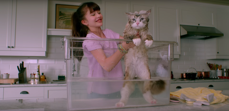 I 10 peggiori film dell’estate 2016