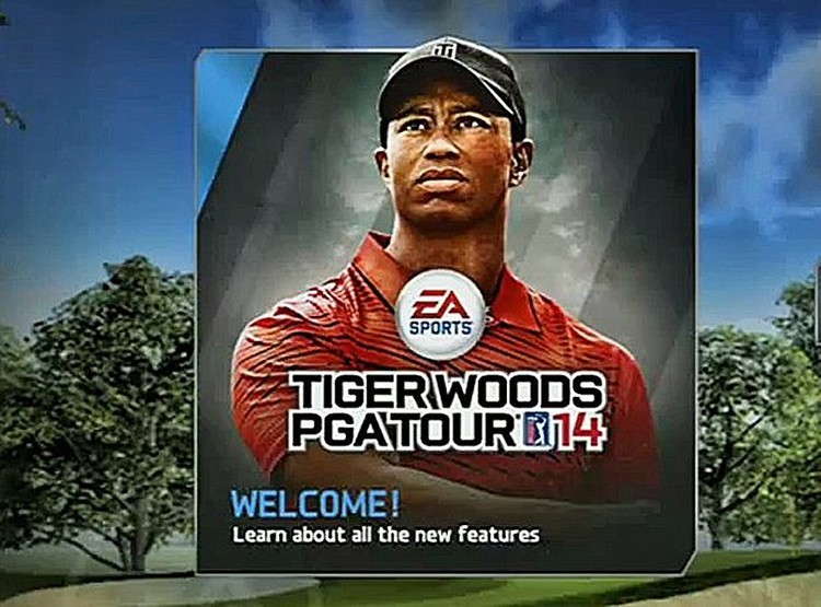 Como é viver na pele de Tiger Woods