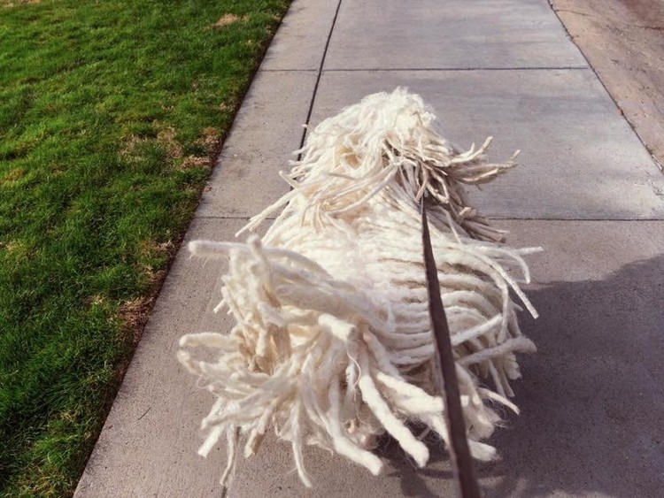 Um dia na vida de Mark Zuckerberg